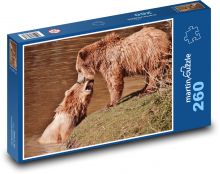 Medvěd hnědý - divoké zvíře Puzzle 260 - 41x28,7 cm