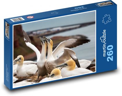 Sea birds - Puzzle 260 pieces, size 41x28.7 cm 