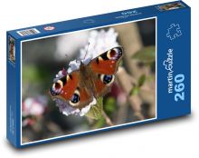 Motýľ - hmyz Puzzle 260 dielikov - 41 x 28,7 cm 