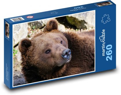 Zvíře - Medvěd Hnědý - Puzzle 260 dílků, rozměr 41x28,7 cm