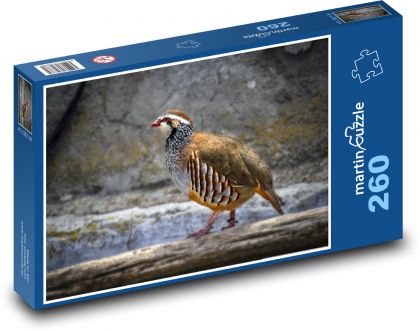 Kuropatwa - ptak, zwierzę - Puzzle 260 elementów, rozmiar 41x28,7 cm