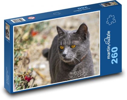 Schwarze Katze - Haustier, Tier - Puzzle - 260 Teile