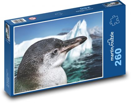 Pingwin - lód, morze - Puzzle 260 elementów, rozmiar 41x28,7 cm
