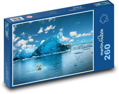 Tuleň - moře, ledovec - Puzzle 260 dílků, rozměr 41x28,7 cm