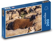 Sheep herd - livestock, cattle Puzzle 260 pieces - 41 x 28.7 cm 