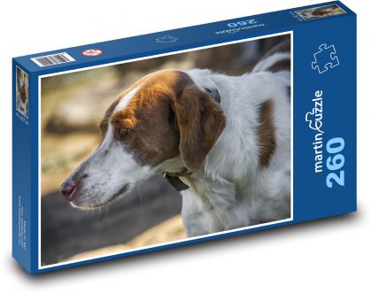 Pies - zwierzę, zwierzę domowe - Puzzle 260 elementów, rozmiar 41x28,7 cm