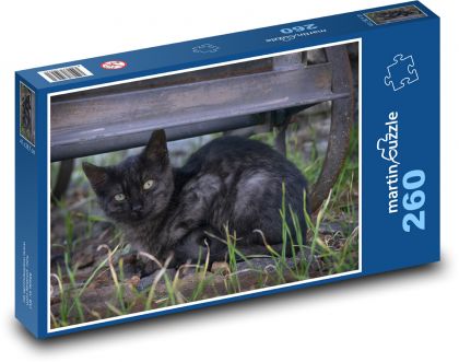 Kotě - černá kočka, mládě  - puzzle 260 dílků