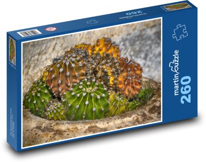 Kaktus - rostlina, sukulent - Puzzle 260 dílků, rozměr 41x28,7 cm