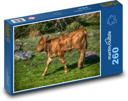 Cielę - roślina, pole - Puzzle 260 elementów, rozmiar 41x28,7 cm