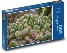 Kaktusy - príroda, rastlina Puzzle 260 dielikov - 41 x 28,7 cm