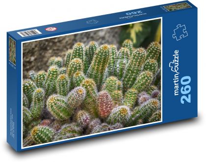 Kaktusy - příroda, rostlina - Puzzle 260 dílků, rozměr 41x28,7 cm