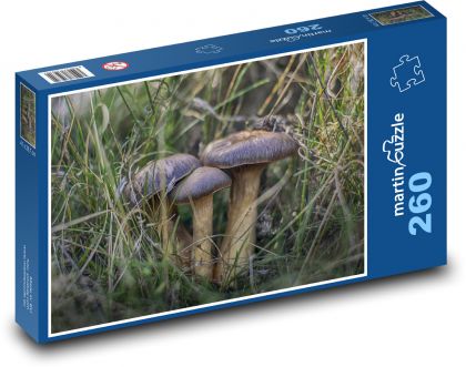 Mushrooms - herb, field - Puzzle 260 pieces, size 41x28.7 cm 