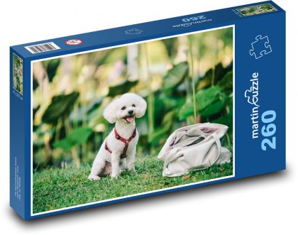 Roztomilé štěně - pudl, pes - puzzle 260 dílků