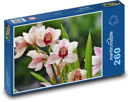 Orchideje - pokojová květina, okvětní lístky - Puzzle 260 dílků, rozměr 41x28,7 cm