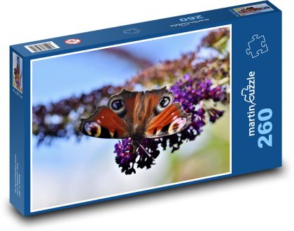 Motýl - paví oko, hmyz - puzzle 260 dílků