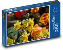 Narcisy - žlté kvety, jarné rastliny Puzzle 260 dielikov - 41 x 28,7 cm 