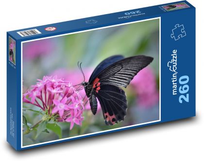 Tropický motýľ - hmyz, krídlo - Puzzle 260 dielikov, rozmer 41x28,7 cm