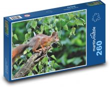 Veverka na stromě - les, hlodavec Puzzle 260 - 41x28,7 cm