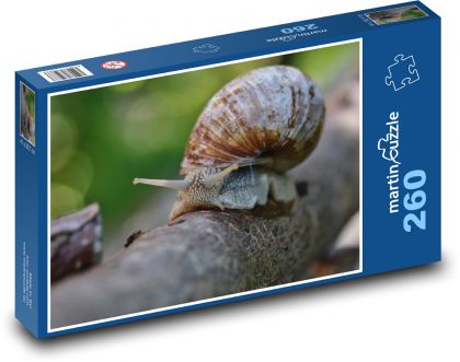 Ślimak - muszla, natura - Puzzle 260 elementów, rozmiar 41x28,7 cm