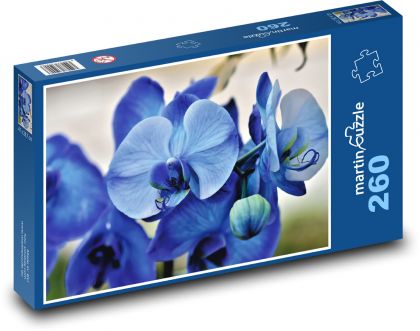 Modrá orchidej - květy, rostlina - Puzzle 260 dílků, rozměr 41x28,7 cm