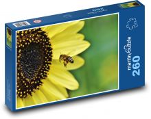 Zapylenie kwiatu - pszczoła, płatki Puzzle 260 elementów - 41x28,7 cm