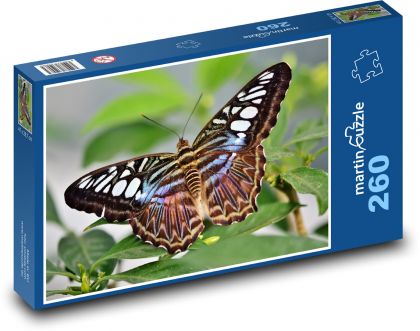 Motýl - hmyz, křídla - Puzzle 260 dílků, rozměr 41x28,7 cm