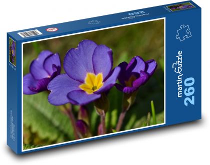 Maxana - fialová kvetina, rastlina - Puzzle 260 dielikov, rozmer 41x28,7 cm
