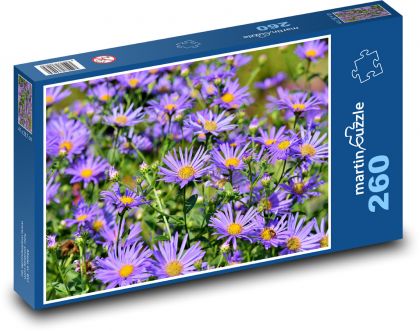 Astry - fialové kvety, rastliny - Puzzle 260 dielikov, rozmer 41x28,7 cm