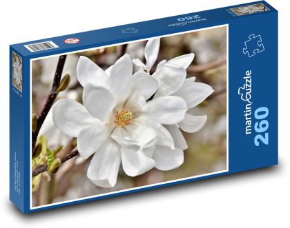 Bílá magnolie - květ, rostlina - Puzzle 260 dílků, rozměr 41x28,7 cm