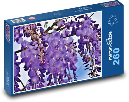 Vistária - fialová rastlina, kvet - Puzzle 260 dielikov, rozmer 41x28,7 cm