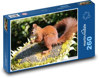 Hlodavec - Veverička, slnečnica - Puzzle 260 dielikov, rozmer 41x28,7 cm
