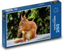Zwierzę, gryzoń - Wiewiórka Puzzle 260 elementów - 41x28,7 cm