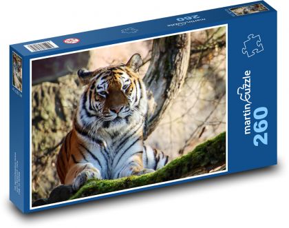 Dravec, tygr, šelma - puzzle 260 dílků