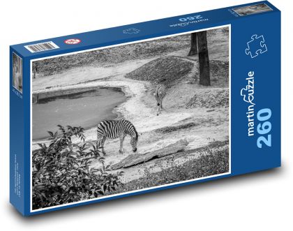 Zebry - Afrika, safari - Puzzle 260 dielikov, rozmer 41x28,7 cm