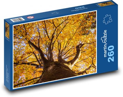 Podzimní listy - strom, buk - Puzzle 260 dílků, rozměr 41x28,7 cm
