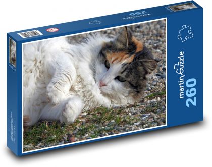Hravá kočka - domácí mazlíček, zvíře - Puzzle 260 dílků, rozměr 41x28,7 cm
