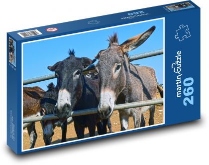 Somáre - zvieratá, farma - Puzzle 260 dielikov, rozmer 41x28,7 cm