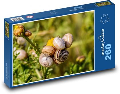 Slimáky - mäkkýše, príroda - Puzzle 260 dielikov, rozmer 41x28,7 cm