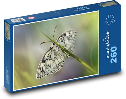 Motýľ - okrídlený hmyz, krídla - Puzzle 260 dielikov, rozmer 41x28,7 cm