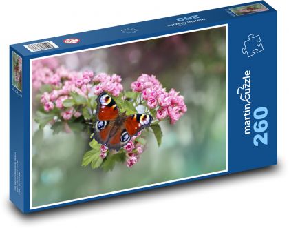 Motýl na květině - hmyz, jaro - puzzle 260 dílků