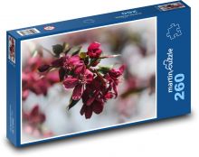 Červené kvety - okvetné lístky, kvetina Puzzle 260 dielikov - 41 x 28,7 cm 