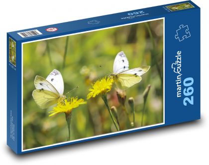 Butterflies - pollination, flowers - Puzzle 260 pieces, size 41x28.7 cm 