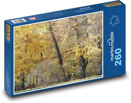 Herbstwald - Bäume, Park - Puzzle - 260 Teile