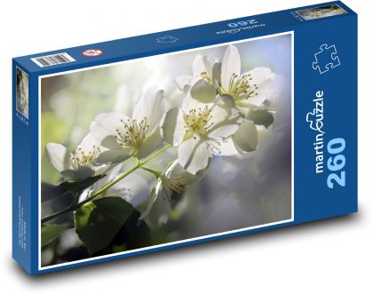 Jasmin - weiße Blüten, Busch - Puzzle - 260 Teile