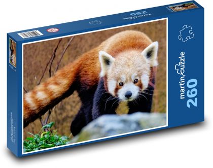 Panda červená - zvíře. zoo - Puzzle 260 dílků, rozměr 41x28,7 cm