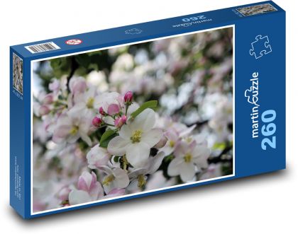 Rosa Blume - Blumen, Frühling - Puzzle - 260 Teile