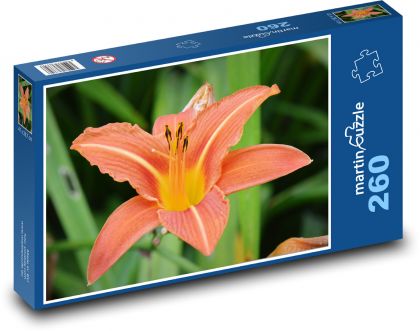 Kwiat - natura, makro - Puzzle 260 elementów, rozmiar 41x28,7 cm