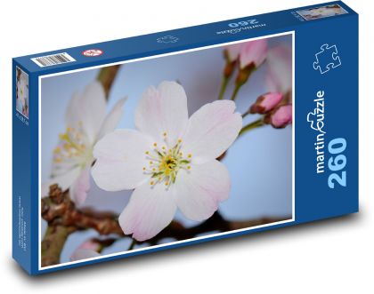 Kvet - príroda, jar - Puzzle 260 dielikov, rozmer 41x28,7 cm