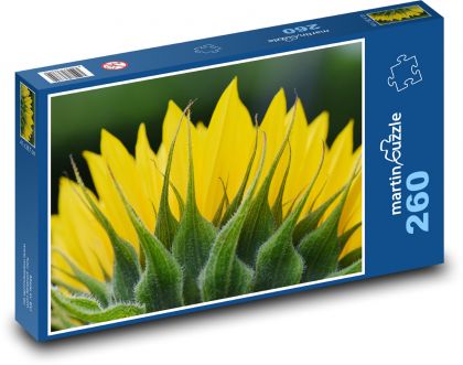 Sunflower - flower, plant - Puzzle 260 pieces, size 41x28.7 cm 