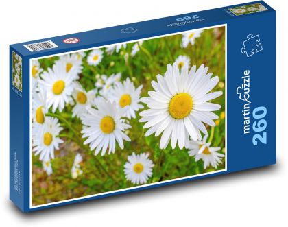 Kvety - príroda, jar - Puzzle 260 dielikov, rozmer 41x28,7 cm